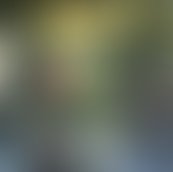 Painting: Parochialism