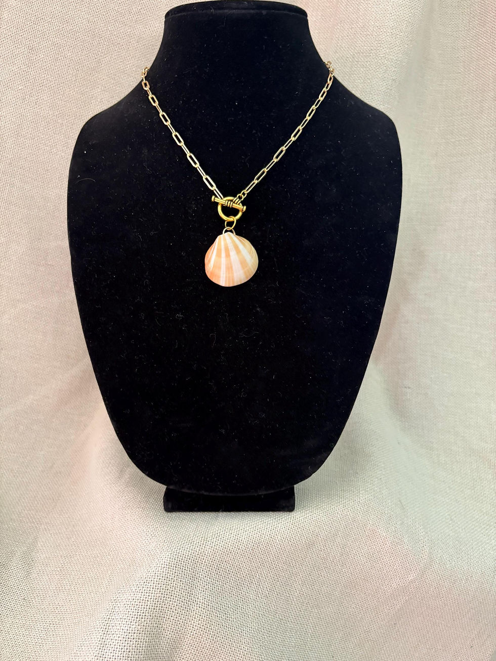 Thumbnail: Bittersweet Clam Shell on 18” gold plated paper clip chain
