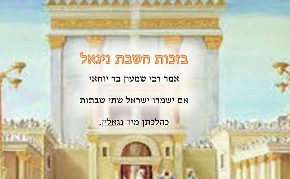 שבת14.JPG