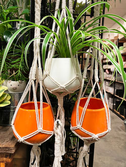 hanging macrame