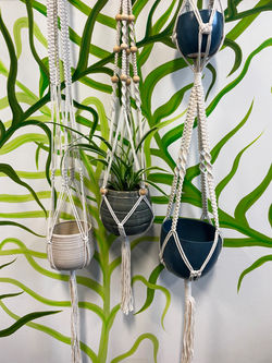 hanging