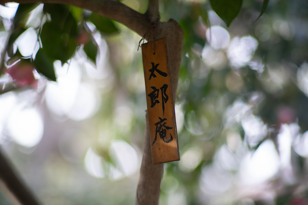 SONY a7CR +MicroPrime Cine 75mm | 絞り:T1.5