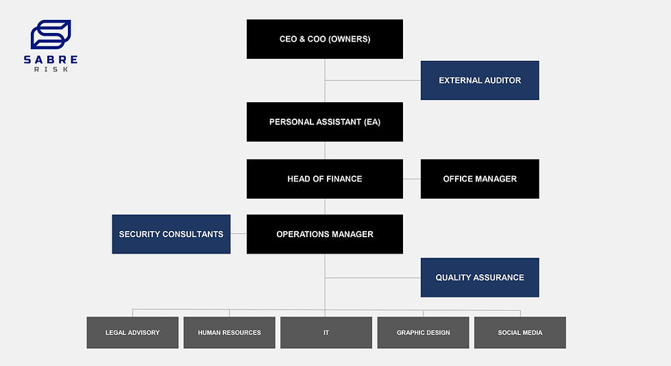 SABRE Risk - Org Structure_page-0001.jpg