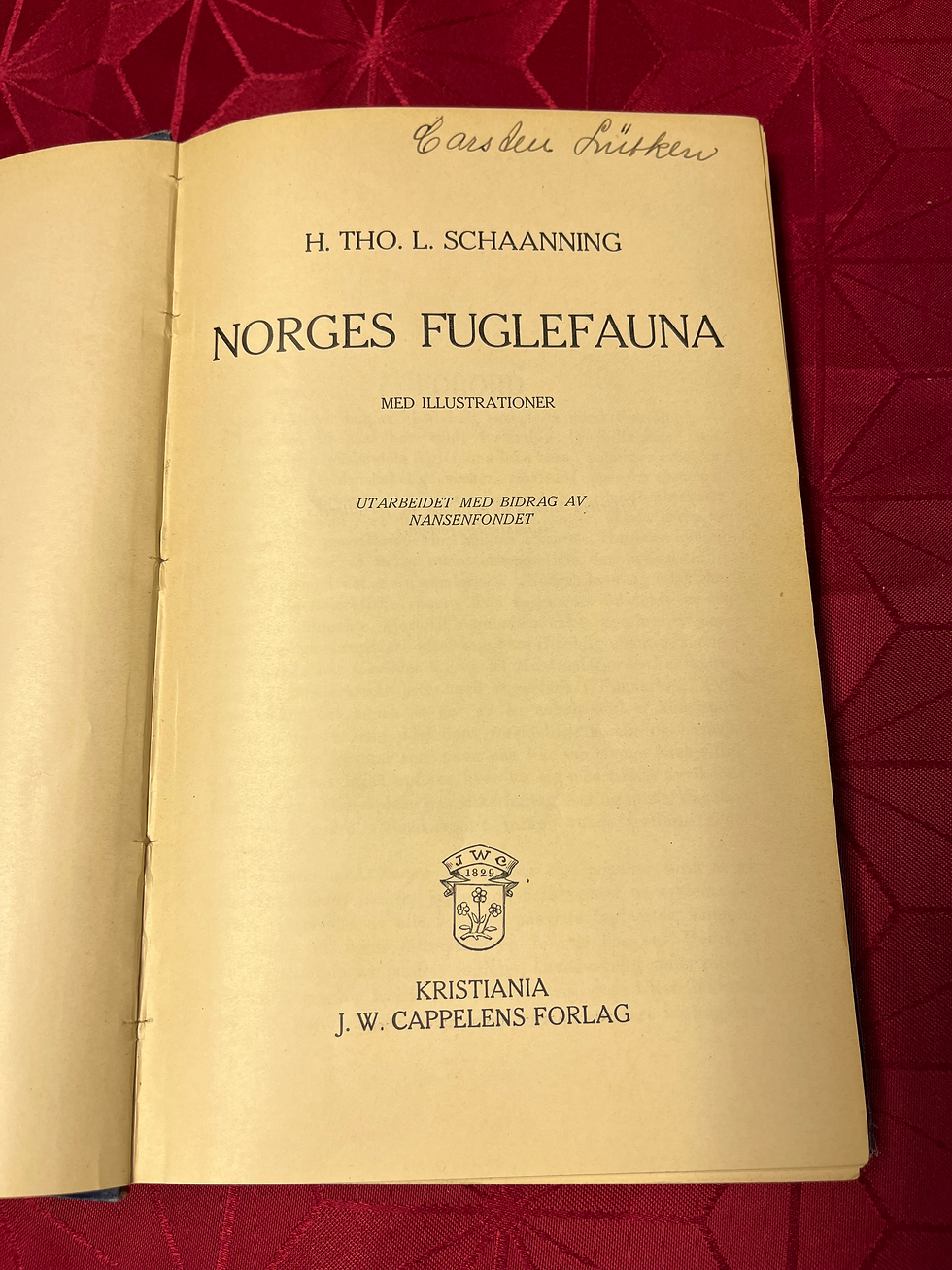 Miniatyrbilde: H. Tho. L. Schaanning, Norges Fuglefauna