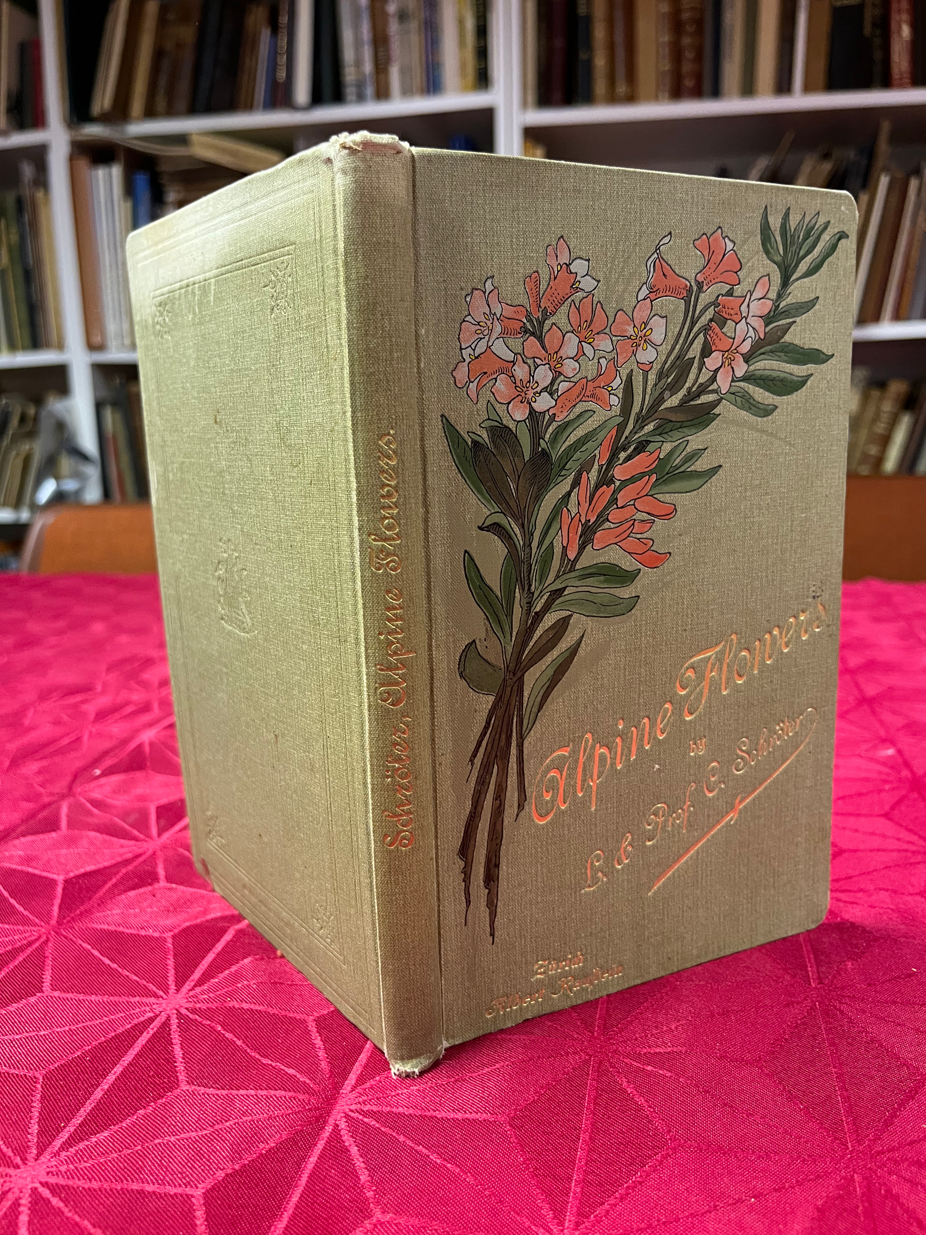L. & Prof. Dr. C. Schröter, Alpine Flowers