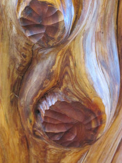 Closeup of one of the table bases, carved knots