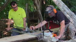 Slabbing a fallen tree