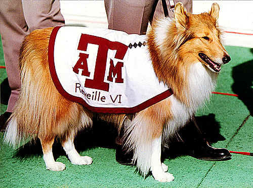 reveille.jpg