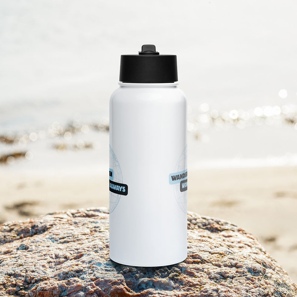 Thumbnail: Stainless steel water bottle with a straw lid: Wander Often, Wonder Always