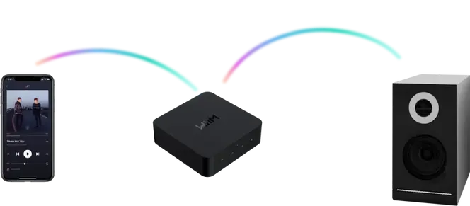 WiiM Pro Plus