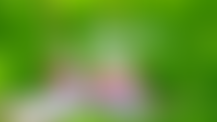 Strawberry mint iced drinks in a glass pitcher and tall glass with striped straw on a tray in bright green grass.