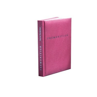 petit livre de photographie avec une couverture matelassée. Livre de collectionneur photo