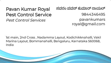 Pest Control Service