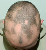 RMS_600_662_fig08_i1200.jpg