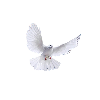 HOLY SPIRIT _edited.png