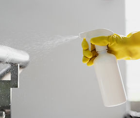 Pulverizador Desinfectante