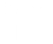 BoozAllenStacked_white.png