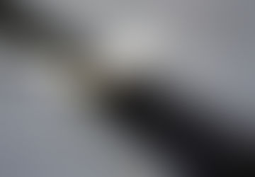 The cracks that break the Mother's back.