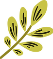 Olive Branch