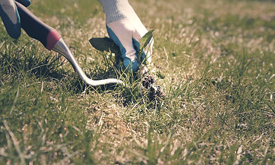 Removing Weeds_edited.jpg