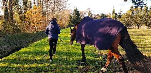 Environnement calme et verdoyant.jpg