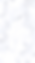 Marble background.png