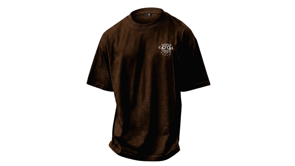 Thumbnail: Three-quarter view of REALLY COOL® STRATA™ BX Armor Brutalist dark brown heavyweight oversized t-shirt.