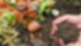 Gemini_Generated_Image_a0v6j7a0v6j7a0v6.jpg