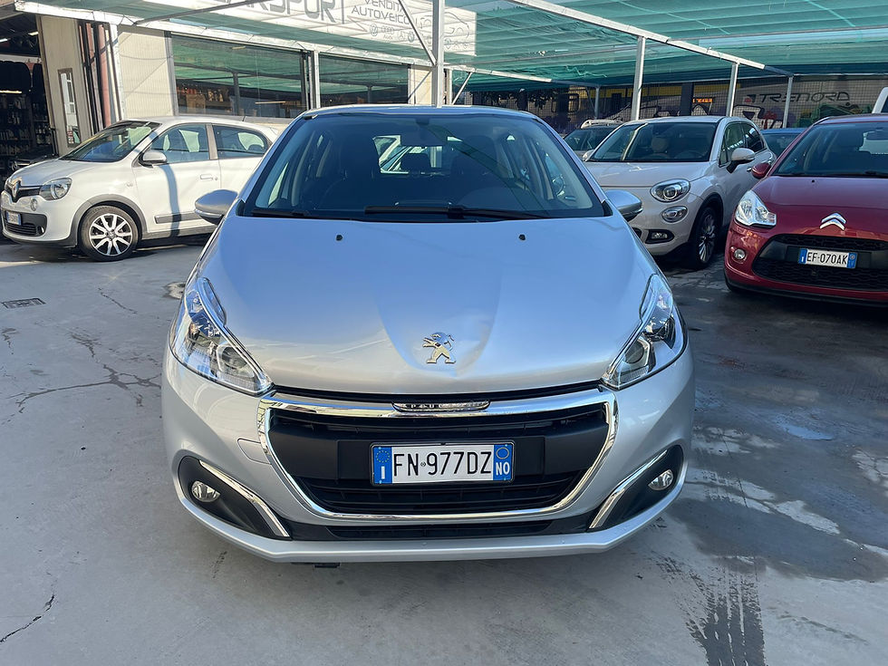 WhatsApp Image 2026-02-11 at 15.49.36 (2)