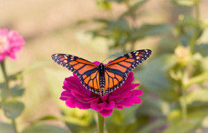Let Go And Let God... Change!