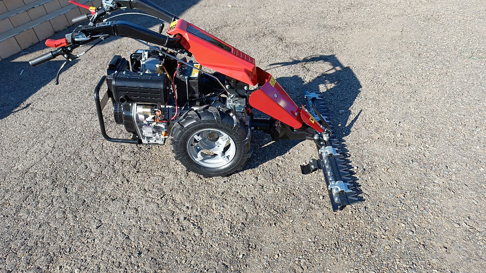 Miniatura: Motocoltivatore MAN DS 11 - Avv. Elettrico - 7.1 KW/9.7 Hp CON FRESA CM 80