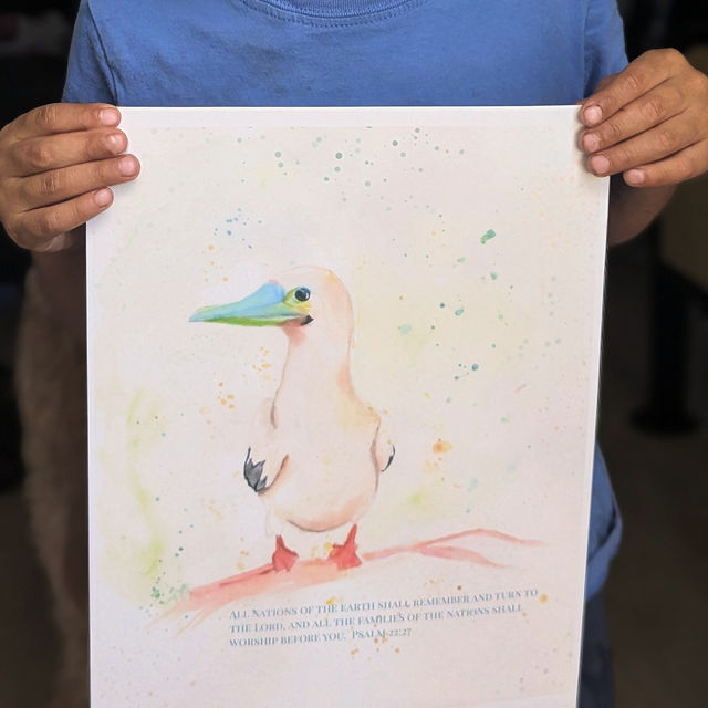 Red-Footed Falcon Art Print