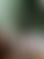 De review van Bregje