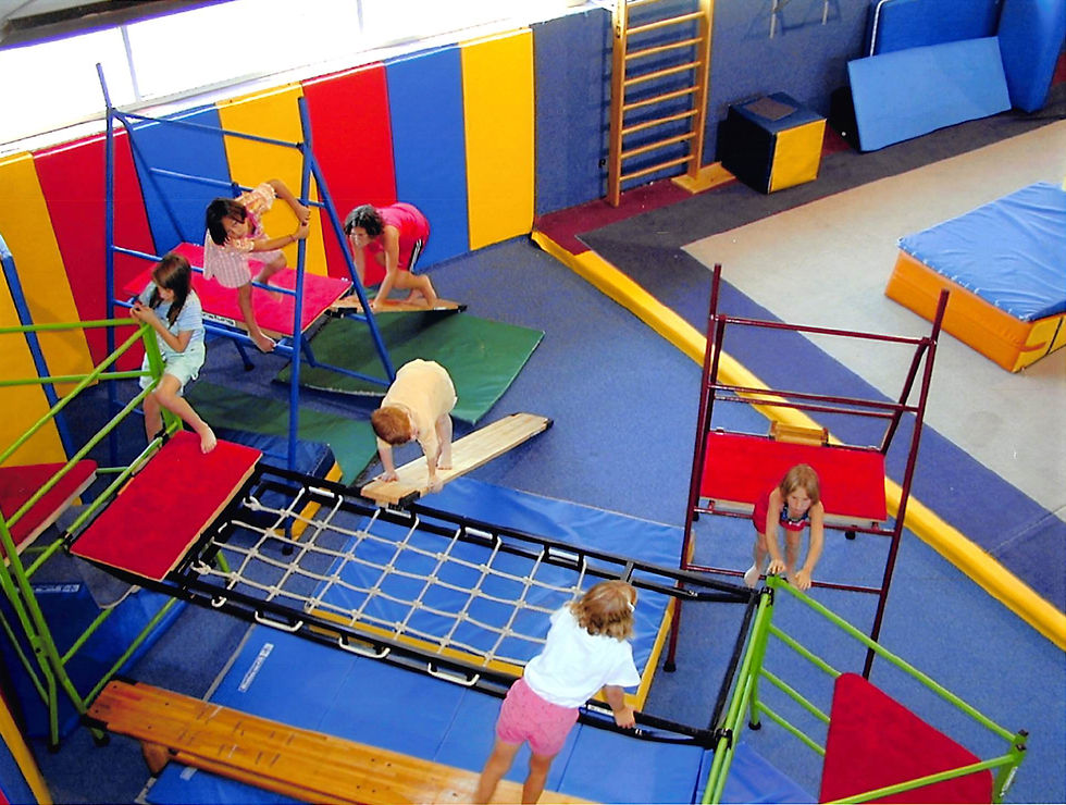 Gym-Thing set-up with children climbing