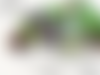 Innate Cosmetics ® ~ Ingredients - Lemongrass Oil - Top 10 FAQs