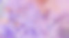 tamara_neuhaus_coaching_breathwork_blume1_edited.jpg