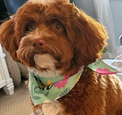 FullSizeRender (3)_edited.jpg