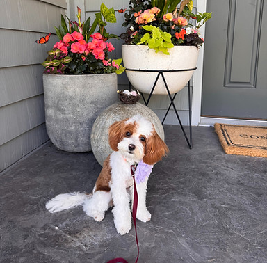 IMG_7749 (1)_edited.jpg