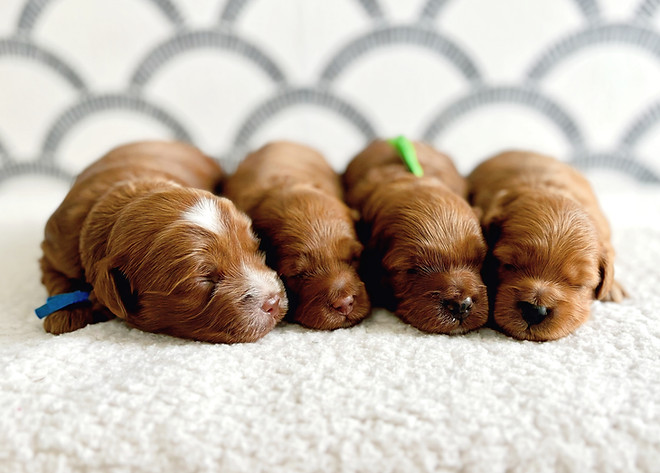 IMG_4381 (1)_edited.jpg