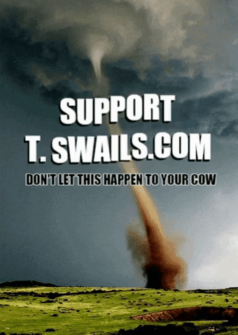 WINTER STORM WATCH...