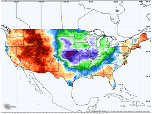 SUMMER IS ALIVE AND WELL...