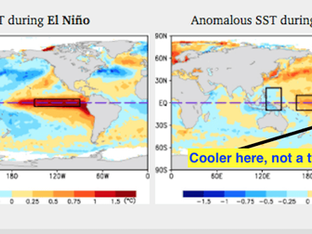 MUSING'S ON WINTER, WHERE IT ALL WEN'T WRONG...