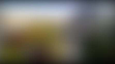 DIAMOND IN A SEA OF CORN