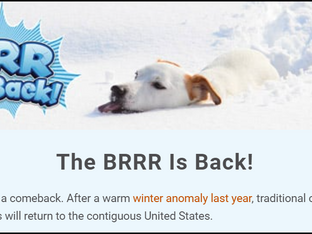 THE BRRR IS BACK IN WINTER...