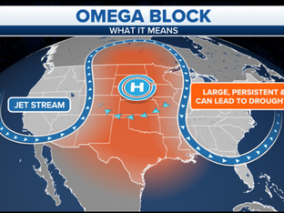 OMEGA MY DAY...