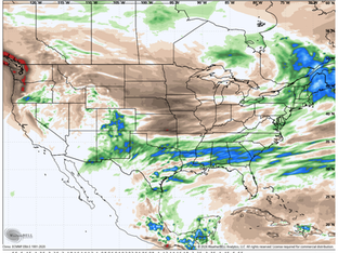 WET, BUT FAR FROM WILD...