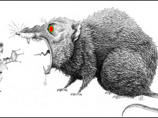 THE TAMING OF THE SHREW...