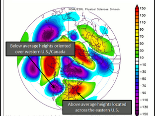 THE LONG DRY SLOG, IS IT ENDING...