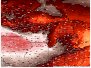 GROOVY, THE SIXTIES ARE BACK