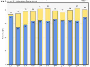 CRUISING THROUGH SUMMER